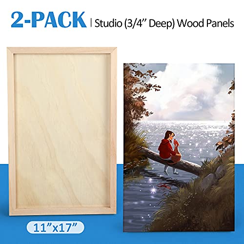 Falling in Art 2 Pack 11x17 Unfinished Birch Wood Panels Kit for Painting - size: 11*17 2-pack