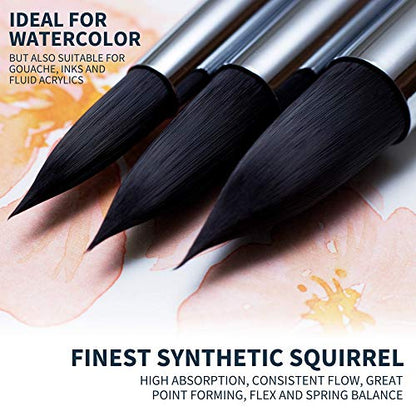 ARTEGRIA Watercolor Brush Set, 10 Soft Synthetic Squirrel Brushes - color: Black - 10pcs