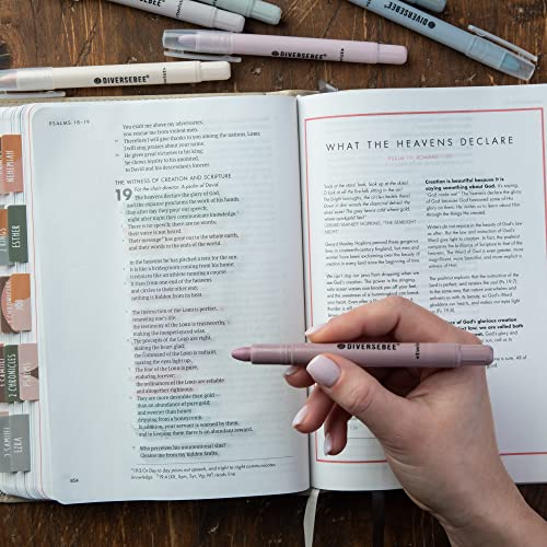 DIVERSEBEE Bible Highlighters and Pens No Bleed (Dusty) - color: Dusty