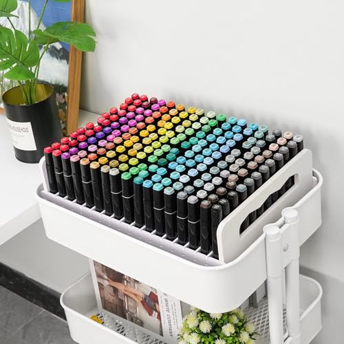 SANFURNEY 204 Slot Marker Organizer, Desktop Art Supply Rack - size: 204-slot