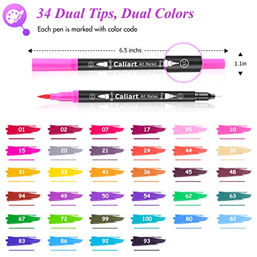 176PCS Art Supplies Sketching Kit, 34 Double Tip Brush Pens Art Markers