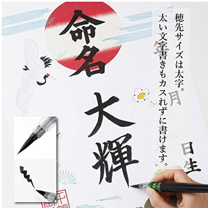 Pentel Fude Brush Pen, Bold (XFL2B) - size: 1 Count (Pack of 1), style: Bold