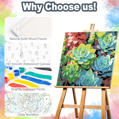 Succulents Framed Paint by Numbers Kit for Adults Beginner 10x10 inch - color: Frame-OP-US14