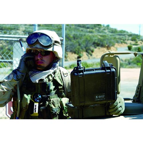 Pelican 1120 Case With Foam (Black) - color: Black, style: With Foam