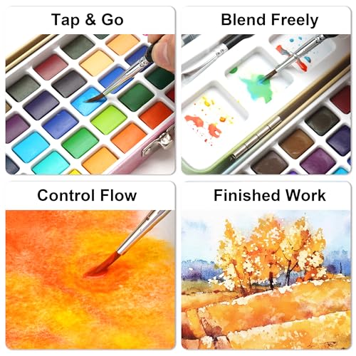 50 Solid Watercolor Paint Set with Built-in Palette & 8 Brushes - color: 50 Colors