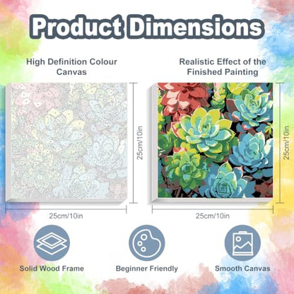 Succulents Framed Paint by Numbers Kit for Adults Beginner 10x10 inch - color: Frame-OP-US14