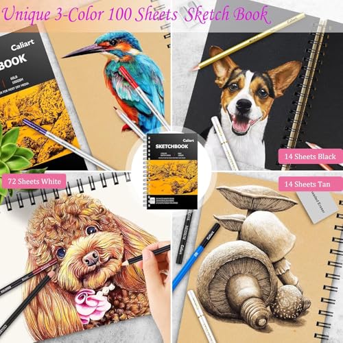 Caliart 176PCS Art Supplies Sketching Kit 34 Double Tip Brush Pens Art Markers