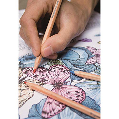 Bruynzeel Expression Colour Pencils Tin 72 (60312072) - size: 1 Count (Pack of 1)