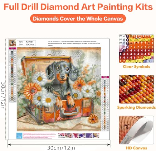 Axquilon Dog Diamond Art Kits for Adults 12x12In - color: Dachshund-1