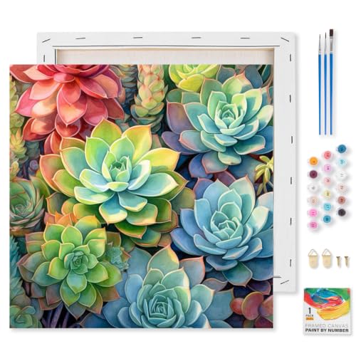 Succulents Framed Paint by Numbers Kit for Adults Beginner 10x10 inch - color: Frame-OP-US14