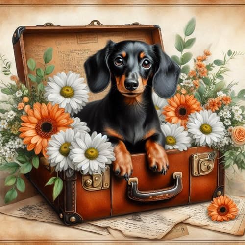 Axquilon Dog Diamond Art Kits for Adults 12x12In - color: Dachshund-1