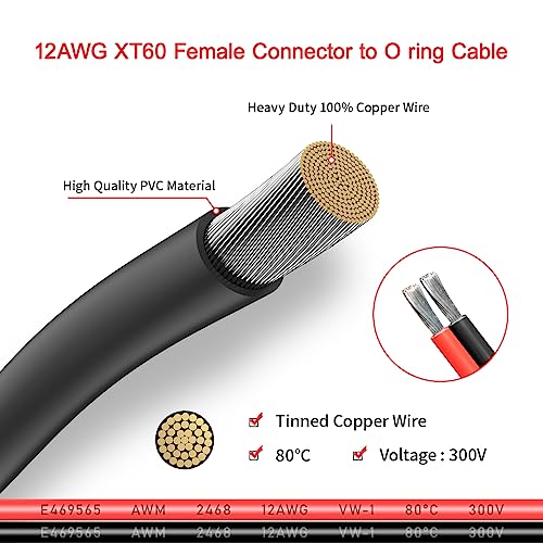 ELFCULB XT60 to Ring Terminal Cable 12AWG 2FT - color: 12AWG XT60 Female to O Ring, size: 2FT