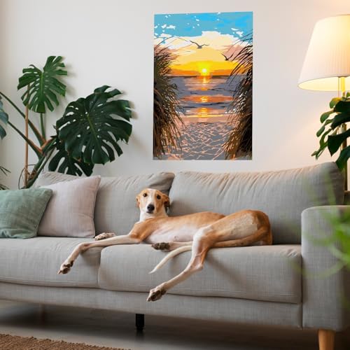 Paint by Numbers Kit for Adults, Beach Sunset Art for Beginners, 16x20 Inch - color: Sunset