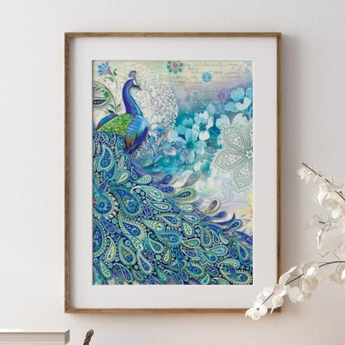 DPDAKIT Peacock Diamond Painting Art Kits for Adults, Animal, 12x16 Inch