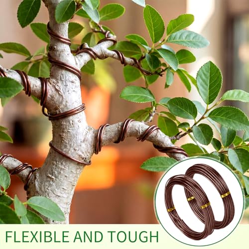 Mudder 5 Roll Bonsai Training Wire Aluminum 1/1.5/2/2.5/3mm Brown - color: Brown, size: 1/1.5/2/2.5/3mm