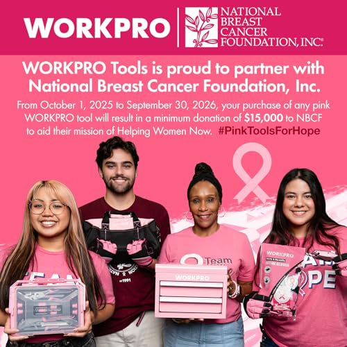 WORKPRO 10-Piece Precision Screwdriver Set with Pink Pouch - Pink Ribbon - color: Pink