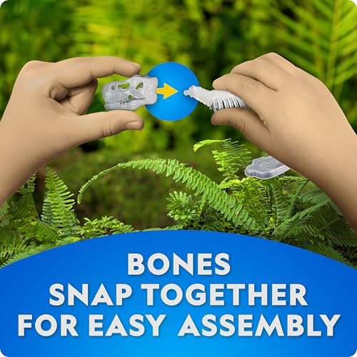 National Geographic Glow-in-the-Dark Dinosaur Skeleton Model Building Kit - style: Dinosaur Skeleton Models Kit