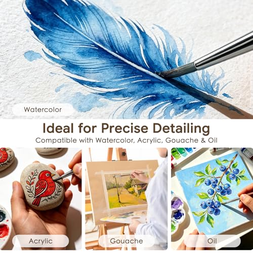 Bougimal 12 Pcs Detail Paint Brushes Set, Fine Detailing & No Shedding
