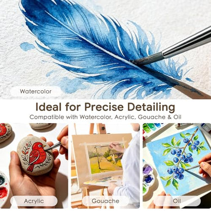 Bougimal 12 Pcs Detail Paint Brushes Set, Fine Detailing & No Shedding