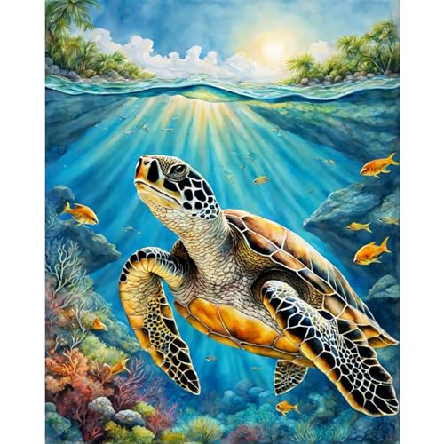Sea Turtle Paint by Numbers Kit for Adults Without Frame 16x20 IN - color: OP-US16