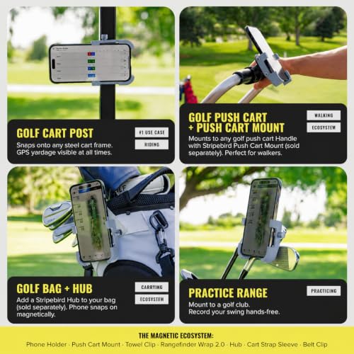 Stripebird PRO Magnetic Golf Cart Phone Holder & Caddy, N52 Magnets - color: Silver