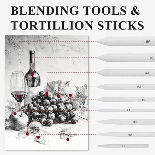 Aenir Blending Stumps for Drawing, Tortillons Blending Stumps Set of 13 Pack with Sandpaper Pencil Sharpener, Paper Art Blenders Tools for Charcoal, Graphite, Drawing Tools for Artists. (13)