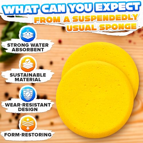 12-Pack Pottery Sponges for Clay, 2.8" Round Synthetic, Reusable - style: 12Pcs
