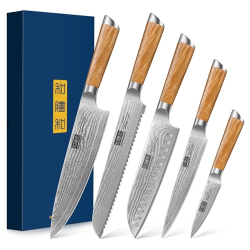 HOSHANHO Damascus Kitchen Knife Set 5PCS, Sharp Chef Knives Ergonomic Grip - style: 5 Pieces Knife Set