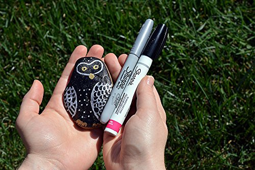 Sharpie Oil-Based Paint Marker, Extra Fine Point, Metallic Silver, 1 Count - Great for Rock Painting