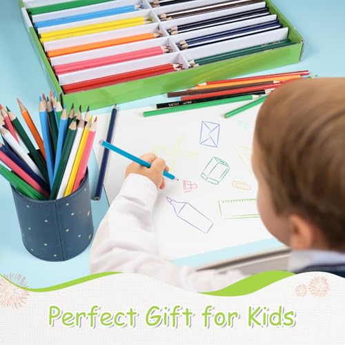 S & E TEACHER'S EDITION Colored Pencils, 240Pcs