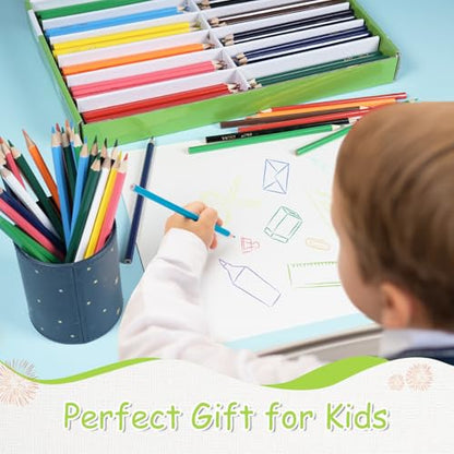 S & E TEACHER'S EDITION Colored Pencils, 240Pcs