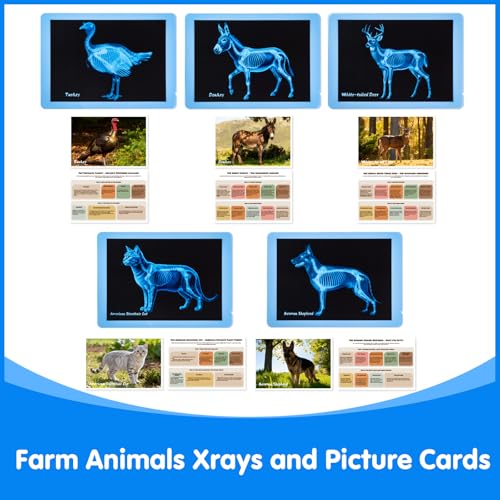 Farm Animal Xrays - 140 Pcs Translucent Pattern Blocks, Sensory Light Table Toy Set for Kids, Artist Tracing Light Box, LED Light Up Sensory Table Toys