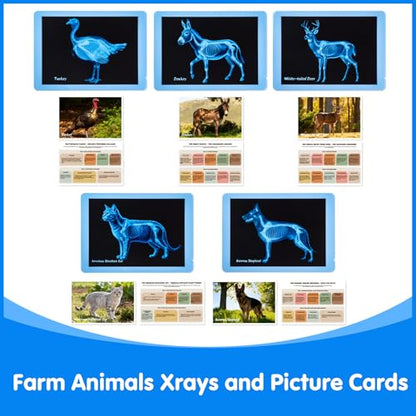 Farm Animal Xrays - 140 Pcs Translucent Pattern Blocks, Sensory Light Table Toy Set for Kids, Artist Tracing Light Box, LED Light Up Sensory Table Toys