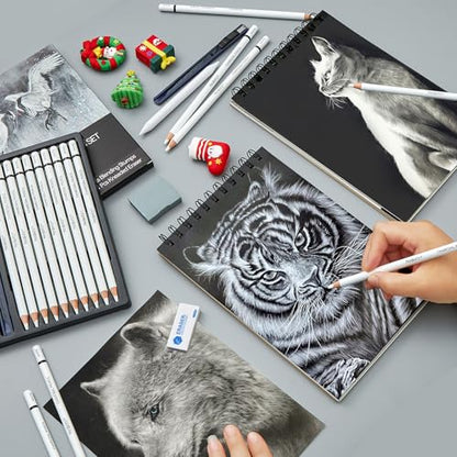 PANDAFLY Professional White Charcoal Pencils Set, 14 Piece - color: White, size: 1 Count (Pack of 14)