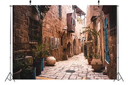 BELECO 9x6ft Fabric Old City Street Backdrop Israel Retro Stone Houses Wall Flowerpots Nostalgia Pictures Background Kids Adults Portrait Photoshoot Studio Photography Background Props - size: 9x6FT