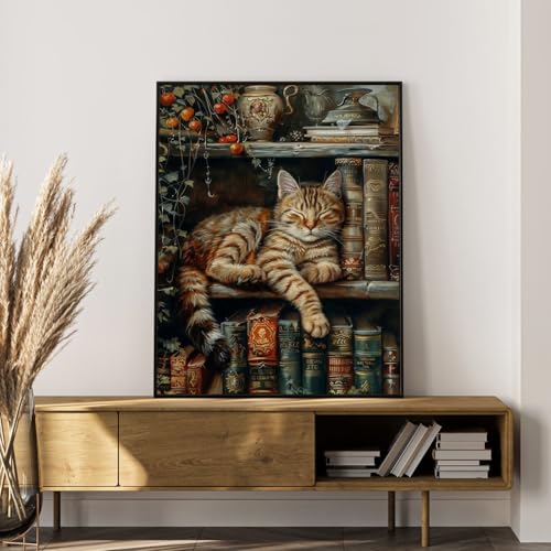 Paint by Numbers Kit for Adults, Sleeping Cat & Bookshelf, 16x20 Inch - color: HMOP25309