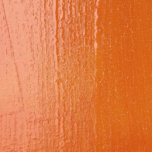 Liquitex Professional High Gloss Varnish, 1.89L (Half Gallon) Bucket - color: High Gloss, style: 64-oz