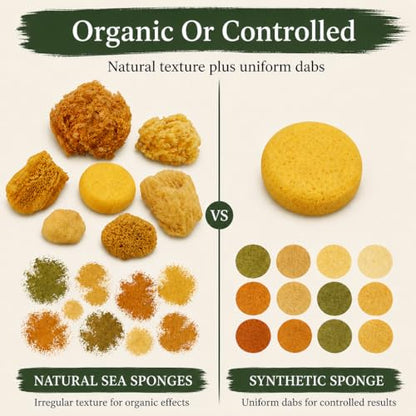 Natural Sea & Synthetic Sponges 7pk, Assorted Sizes, Painting & Crafts