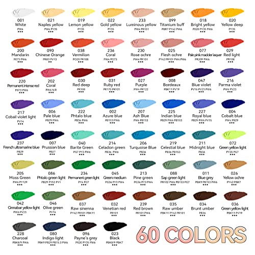 Paul Rubens Oil Pastels, 60 Colors Oil Pastels for Artists and Beginners - color: 60 Colors