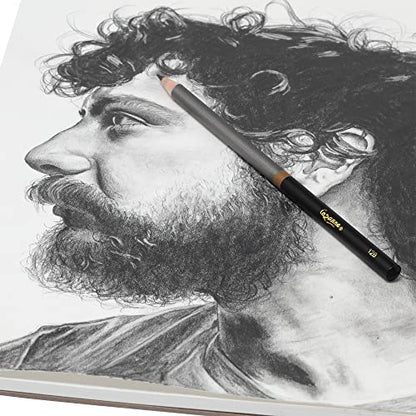 Cezanne Graphite Drawing Pencils Set - HB, Set of 12 Break-Resistant Graphite Lead, Easy-to-Sharpen Sketch Pencils, Master Artist Quality Graphite Pencils for Technical and Artistic Drawing - color: HB, size: Set of 12