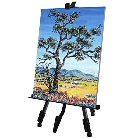 VViViD Aluminum Adjustable Light-Weight Portable Display Easel w/Black Nylon Carrying Case (64") - size: 64"