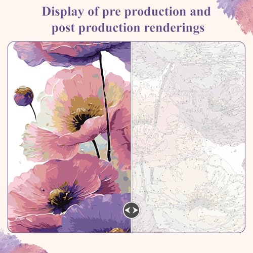 Paint by Numbers for Adults, Flower DIY Oil Painting Kit 16x20 Inch - color: PB471-1