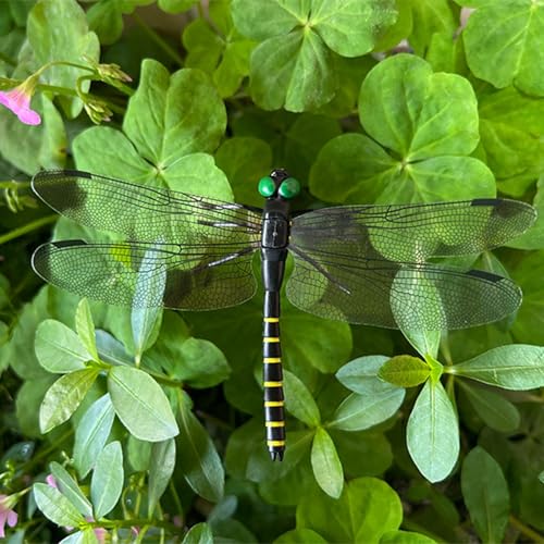 20 Pcs Black Dragon Fly Clips, Visual Predator Deterrent Fake Dragonfly - color: 20 Pcs Black