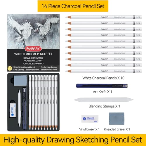 PANDAFLY Professional White Charcoal Pencils Set, 14 Piece - color: White, size: 1 Count (Pack of 14)