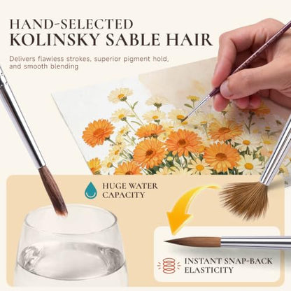 Golden Maple Kolinsky Sable Miniature Paint Brushes, Size 00, 0, 1 - size: 00 0 1 Round Point