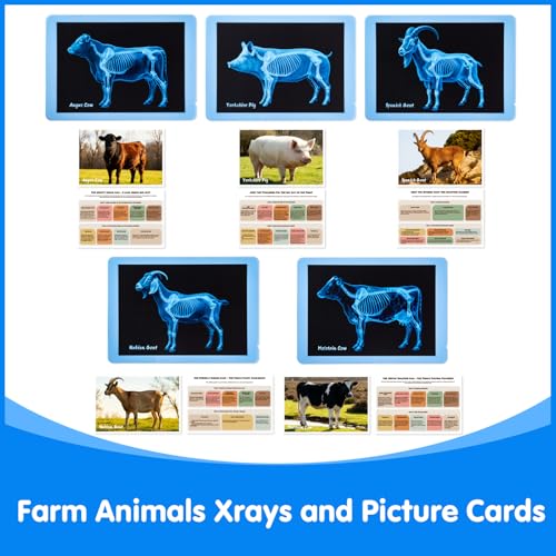 Farm Animal Xrays - 140 Pcs Translucent Pattern Blocks, Sensory Light Table Toy Set for Kids, Artist Tracing Light Box, LED Light Up Sensory Table Toys