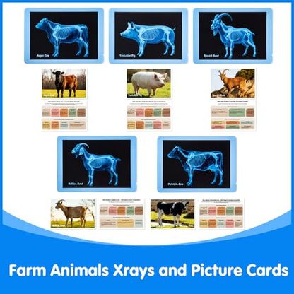 Farm Animal Xrays - 140 Pcs Translucent Pattern Blocks, Sensory Light Table Toy Set for Kids, Artist Tracing Light Box, LED Light Up Sensory Table Toys