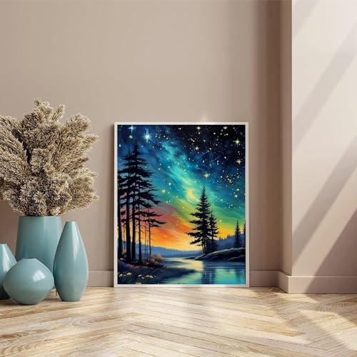 Starry Sky Paint by Numbers for Adults, Landscape Paint by Number on Canvas - color: MT12308