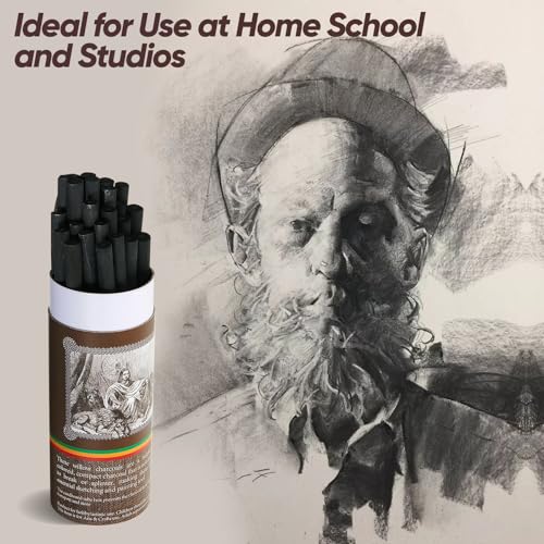 100 Pcs Willow Charcoal Sticks,Black for Sketching Drawing