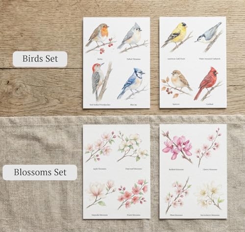 Watercolor Sketch-to-Paint Cards 5x7 – 2 Complete Sets (16 Paintable Cards on 300gsm Watercolor Paper) – Includes Reference Images & Instructions – Watercolor Practice (Birds & Blossoms)